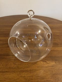 Clear Glass Globe Terrarium / Decorative Orb 