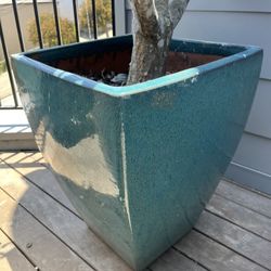 Various Plants And Pots