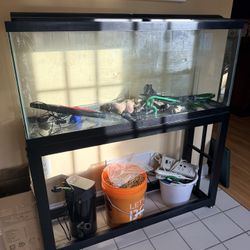 Fish Tank 