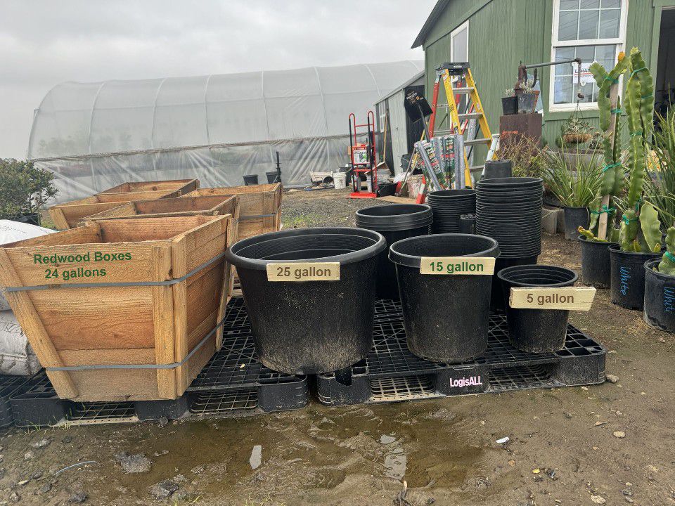 (10-pack) 5 Gallon Black Nursery Containers Plant Flower Pot