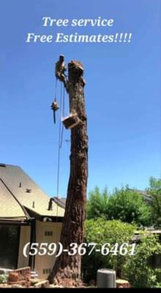 Tree Hand Saw