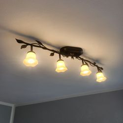 Light Fixture