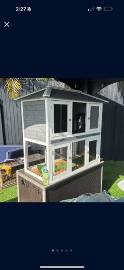 Rabbit House 