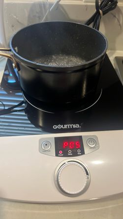 Gourmia Portable Induction Cooktop