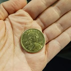 2001 P One Dollar Coin