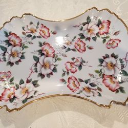 Old Foley Porcelain James Kent, LTD of Staffordshire, England Wild Rose