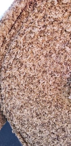 Brand New roll of carpet