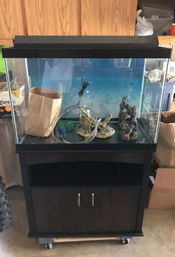 65 gallon cheap fish tank