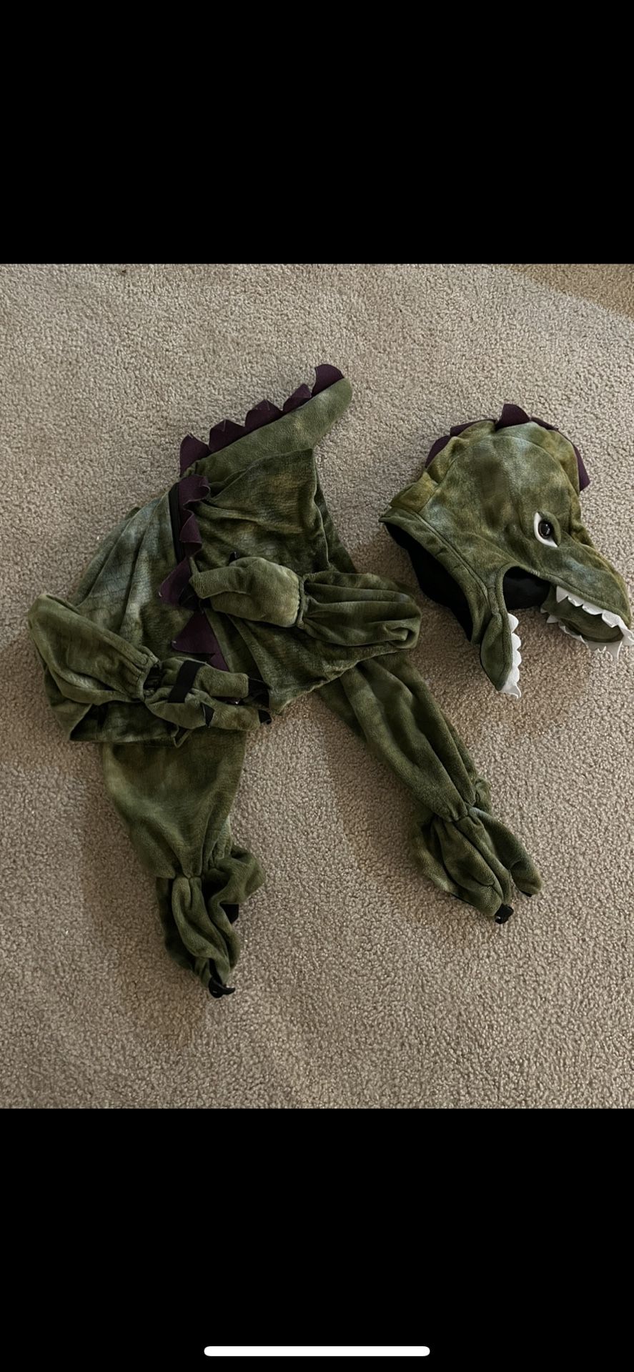 Dinosaur Costume