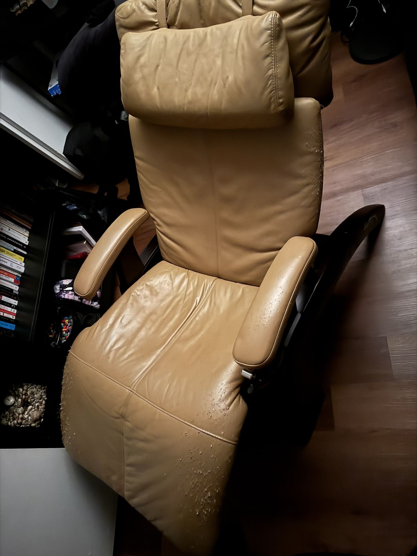 Recliner Lounge Chair