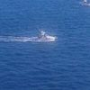 Omar