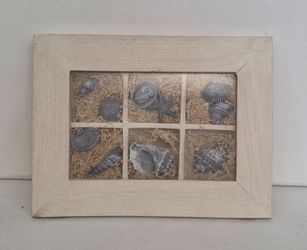 White Shell & Starfish Shadow Box W/Six(6) Section