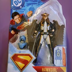 New DC Superman Hawkgirl