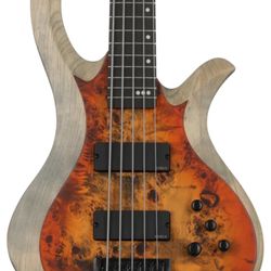 Schecter Riot-4   5 String Right Handed Bass 