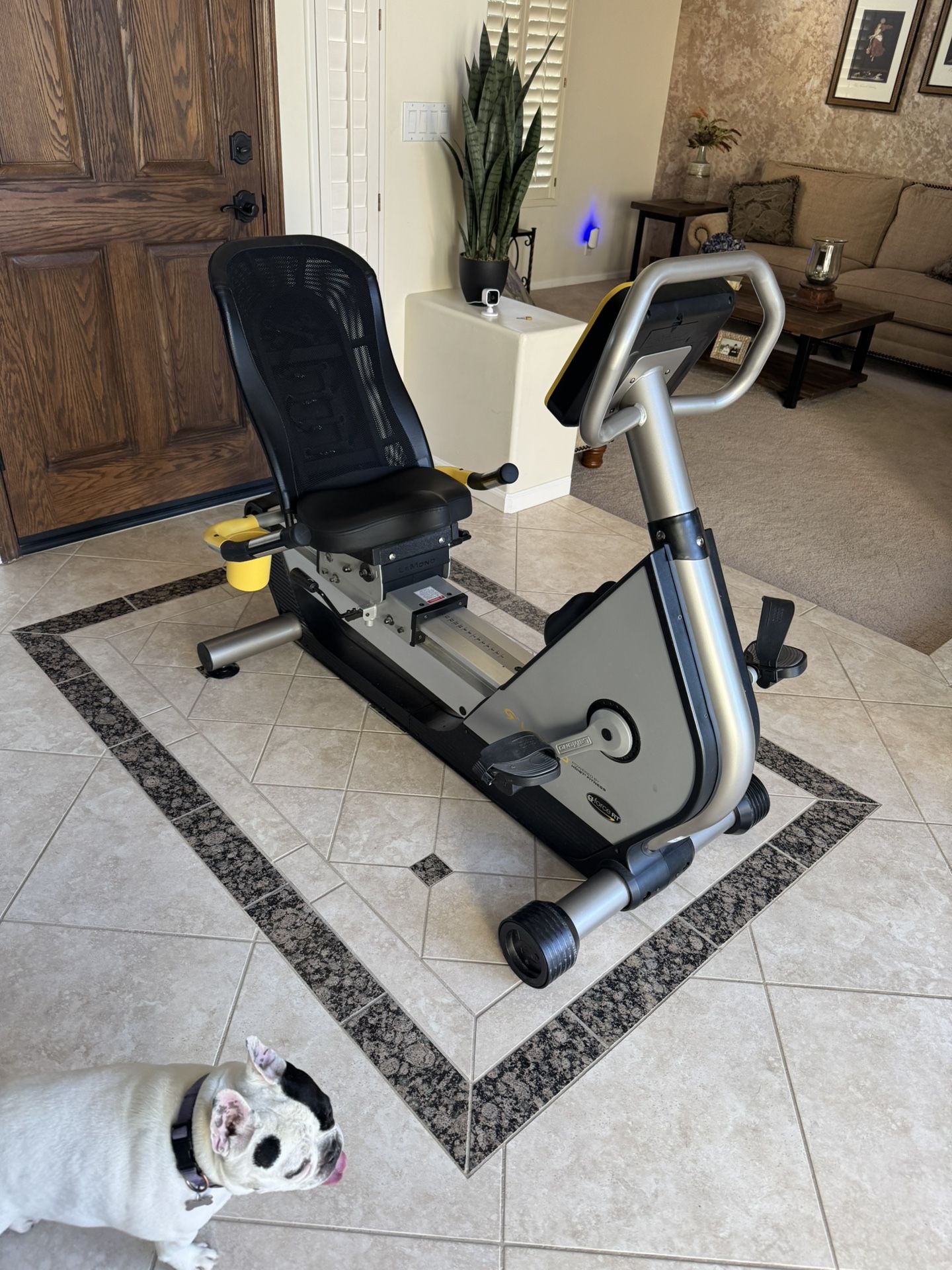 Lemond G-Force RT Recumbent Workout Bike (Like New)