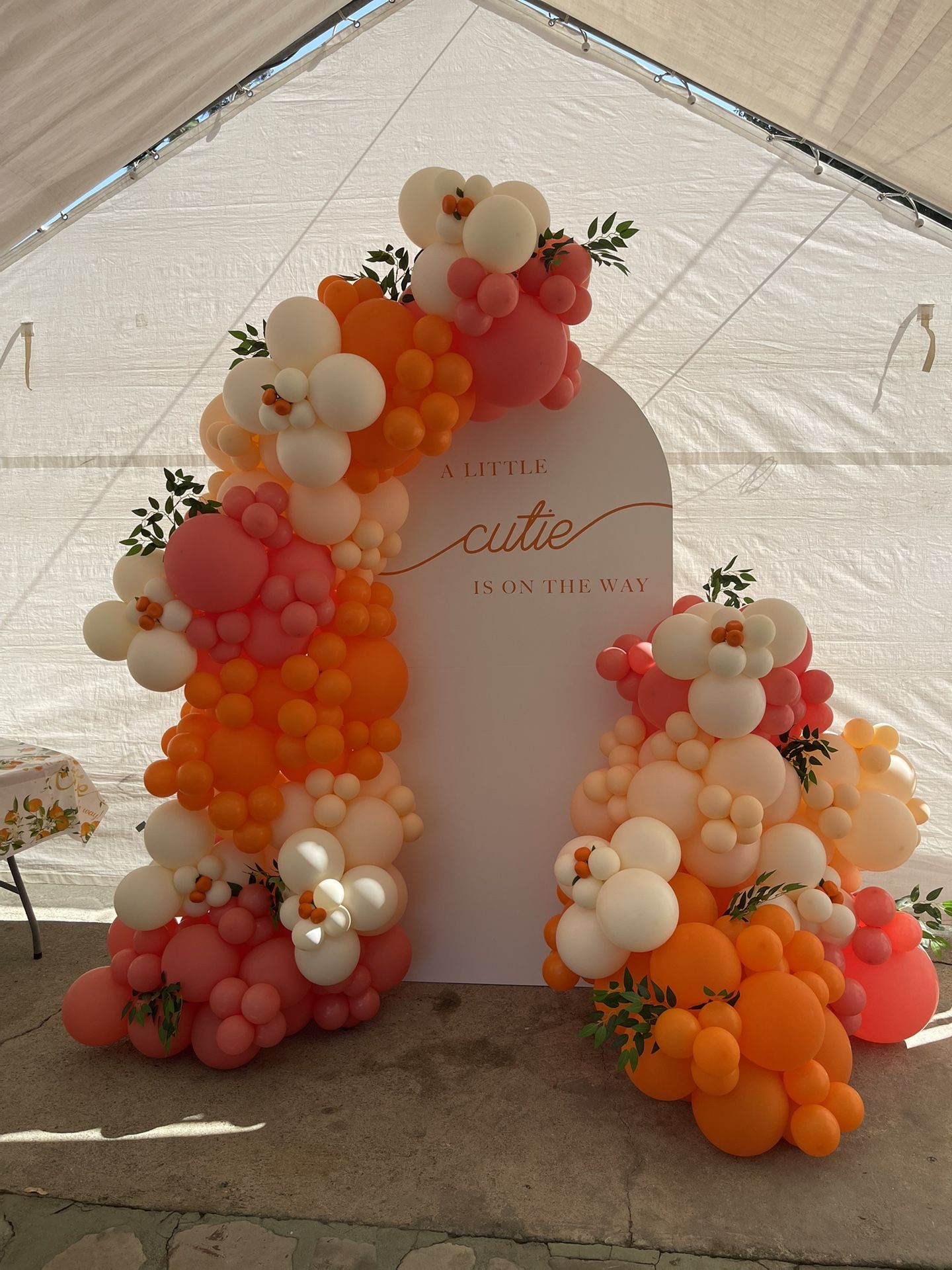 Balloon Arch Garland