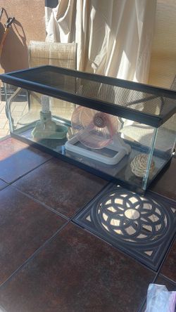 Hamster habitat