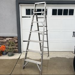 Werner metal ladder - 12ft