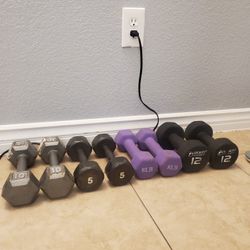 Dumbbells ( 5's, 8's, 10's,  and 12's ) 
