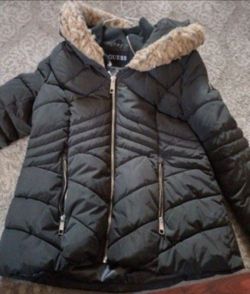 Guess Women Jacket Size L Adults 