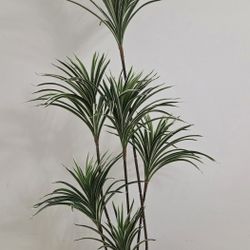 5ft Faux Spider Dracaena in 11in (Tall) Blue Resin Planter @ Lasting Creations 