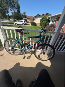 Nishiki mountain bike