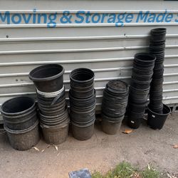 Plant Pots 1g - 7g