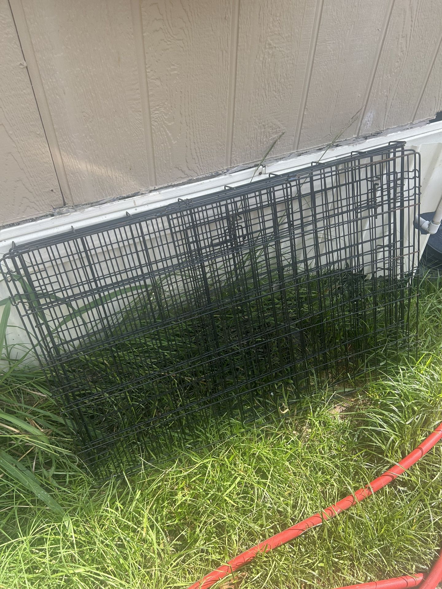 Large Dog Crazy You Put Together