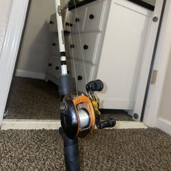 Shimano X Daiwa Rod/Baitcaster Combo