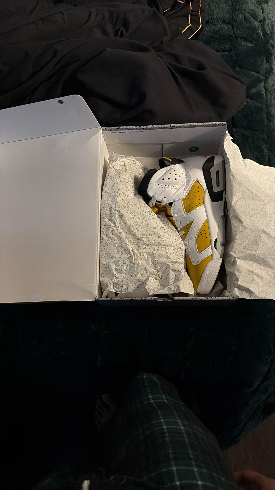 Jordan Retro 6s