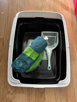 Litter Box Cat