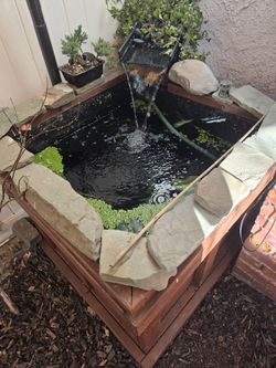 Pond 100gallons