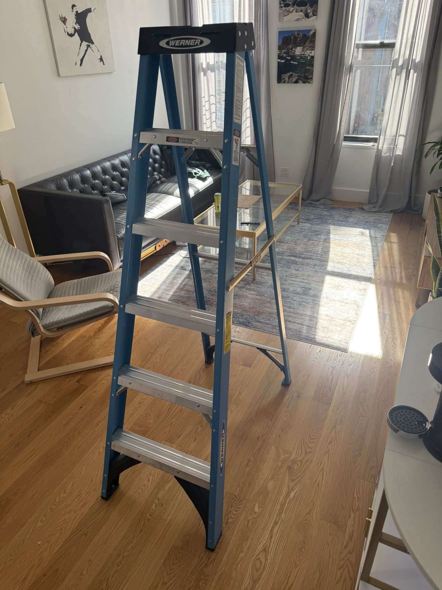 6’ Werner Ladder