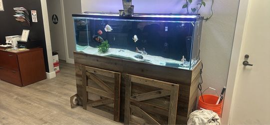 140 Fish Tank