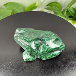 Rare Crystal Malachite Frog