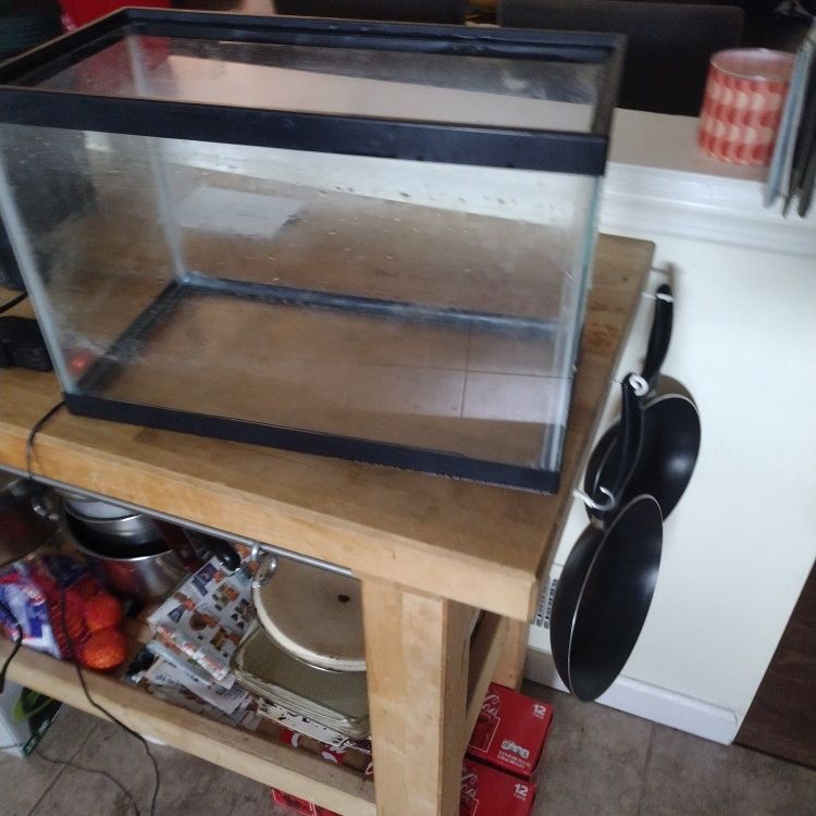 5 Gallon Fish Tank And Supplies. Cash Only 
