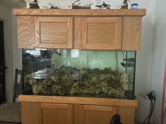 90 Gallon drilled salt water aquarium