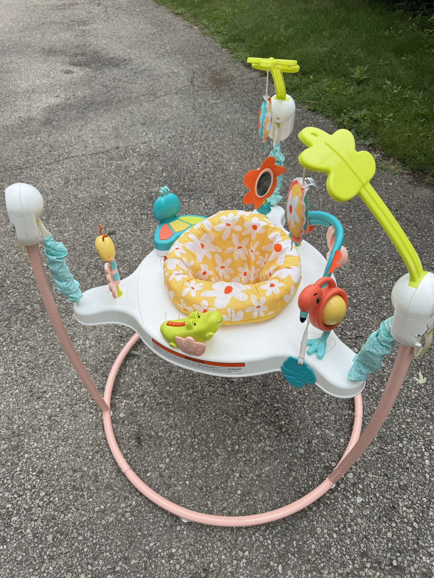 Fisher Price Baby Jumper
