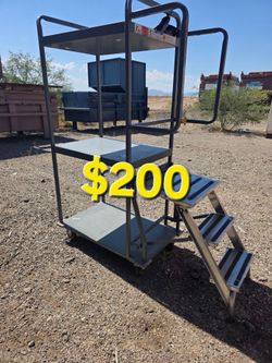 Ladder cart