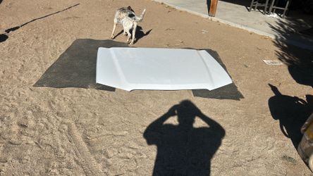 Cat eye Chevy Hood