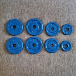 Steel Weight Plates - Totaling 27.5 Pounds