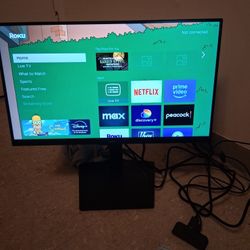 Two Computer Monitors  Dell 