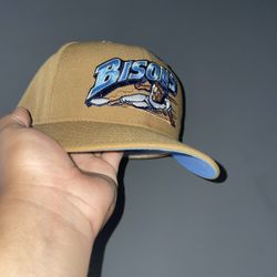 BUFFALO BISONS