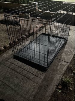 Metal Dog Crate