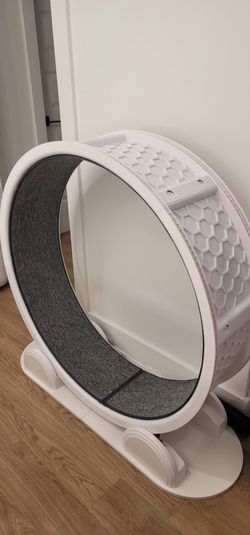 38" Cat Exercise Wheel
