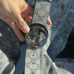 Gucci Supreme Belt 