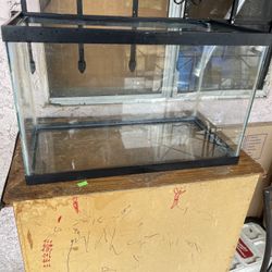 Fish Tank 10 Gallon 