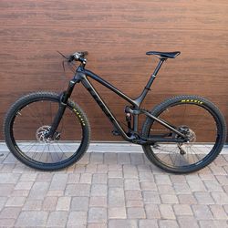2017 Trek Fuel EX 9.8 (Large)