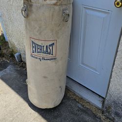 Heavy Duty Punching Bag