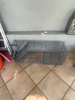 Xl animal trap